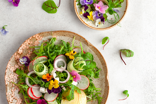 Eetbare bloemen uit eigen tuin: een kleurexplosie op je bord!